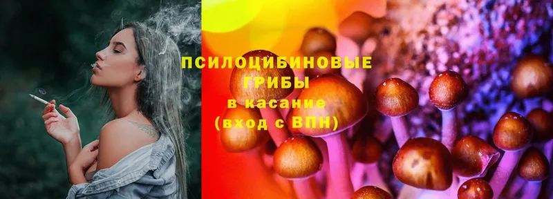 Псилоцибиновые грибы MAGIC MUSHROOMS  blacksprut   Болхов 